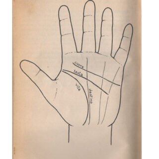 lettura-mano-linee-mani